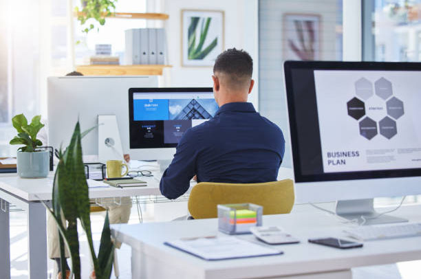 Professional Web Designer on a Computer